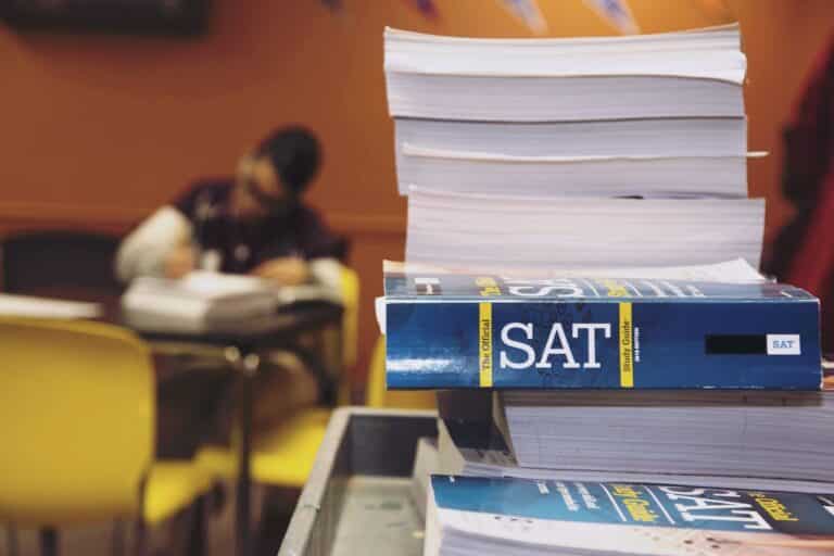 student studying for sat essay